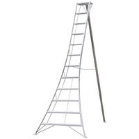 Niwaki Gartenleiter 3-Holm 3-Holm silber B/H: ca. 125x360 cm 3-Holm - silber (125,00/360,00cm) - Niwaki