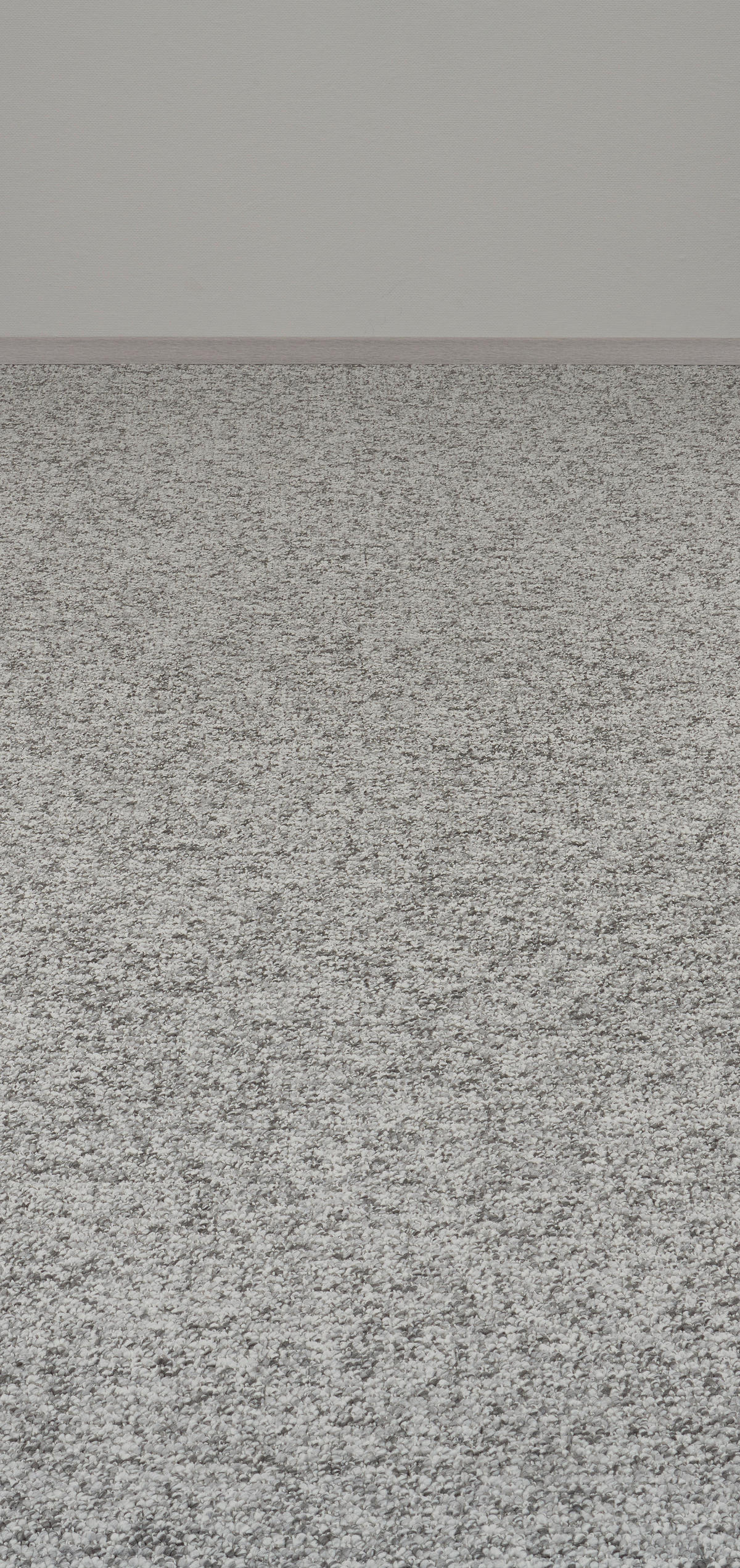 Teppichboden Ohio grau B: ca. 400 cm pro m² Ohio - grau (400,00cm)