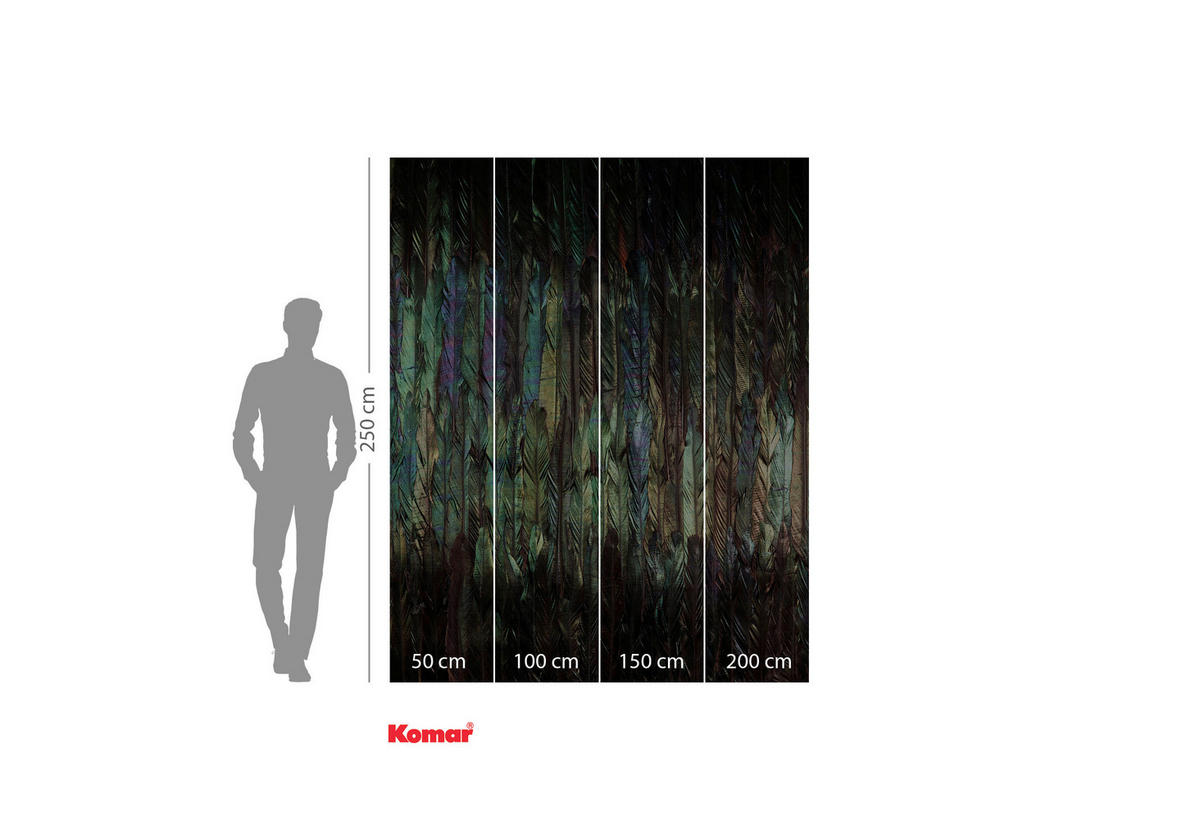 Komar Fototapete Dark Wings B/L: ca. 200x250 cm Dark Wings - (200,00/250,00cm) - Komar