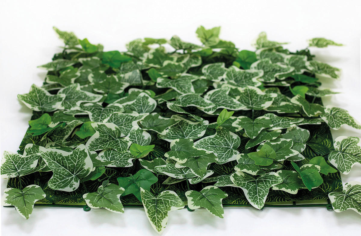 CATRAL/NORTENE Vertikal-Garten grün Kunststoff B/H/L: ca. 50x1,5x50 cm Vertikal-Garten - grün (50,00/50,00/1,50cm) - CATRAL/NORTENE