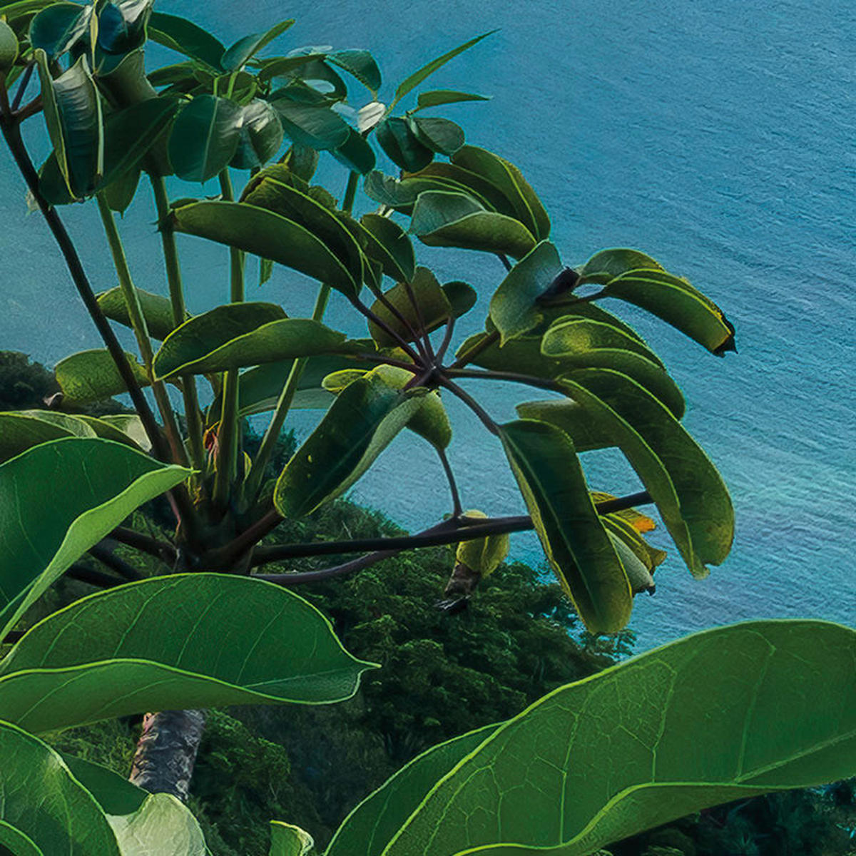Komar Fototapete Jurassic Island B/L: ca. 450x280 cm Jurassic Island - (450,00/280,00cm) - Komar
