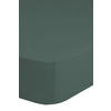 Baumwoll Spannbetttuch Spannbetttuch-Baumwolle 180x200cm - grün (180,00/200,00cm) - Good Morning