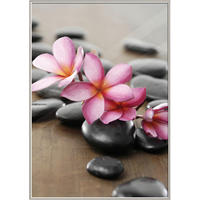 The Wall Bilderrahmen silber Kunststoff B/L: ca. 70x100 cm Fotorahmen 70x100cm - silber (70,00/100,00cm) - The Wall