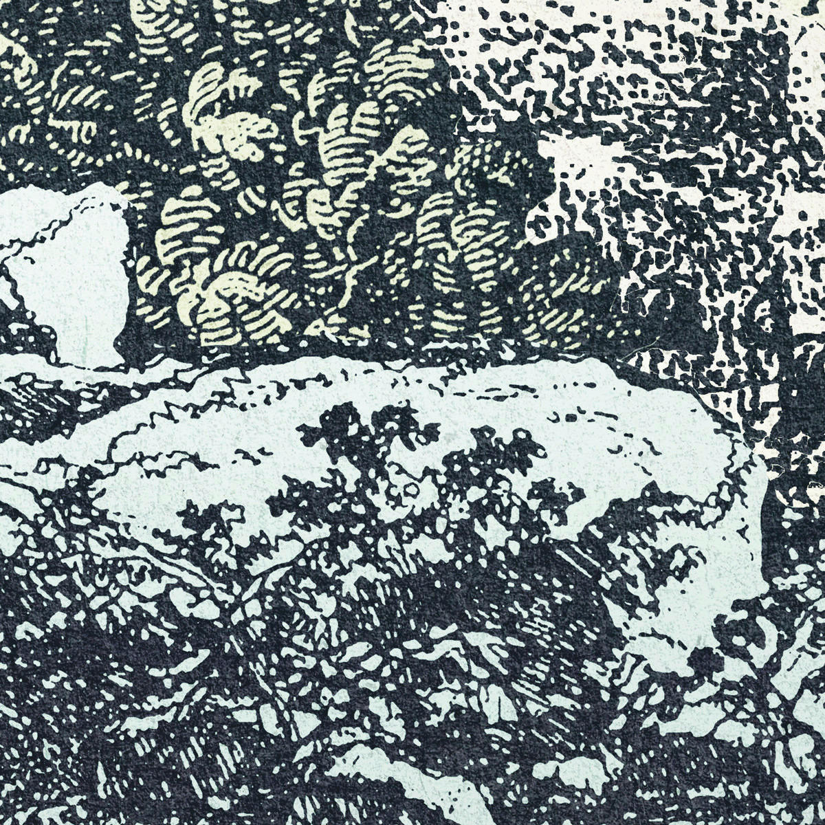 Komar Fototapete Fairytale Forest B/L: ca. 400x280 cm Fairytale Forest - (400,00/280,00cm) - Komar