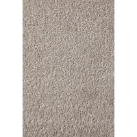 Teppichboden Sara grau B/L: ca. 200x400 cm pro Stück Sara - grau (200,00/400,00cm)