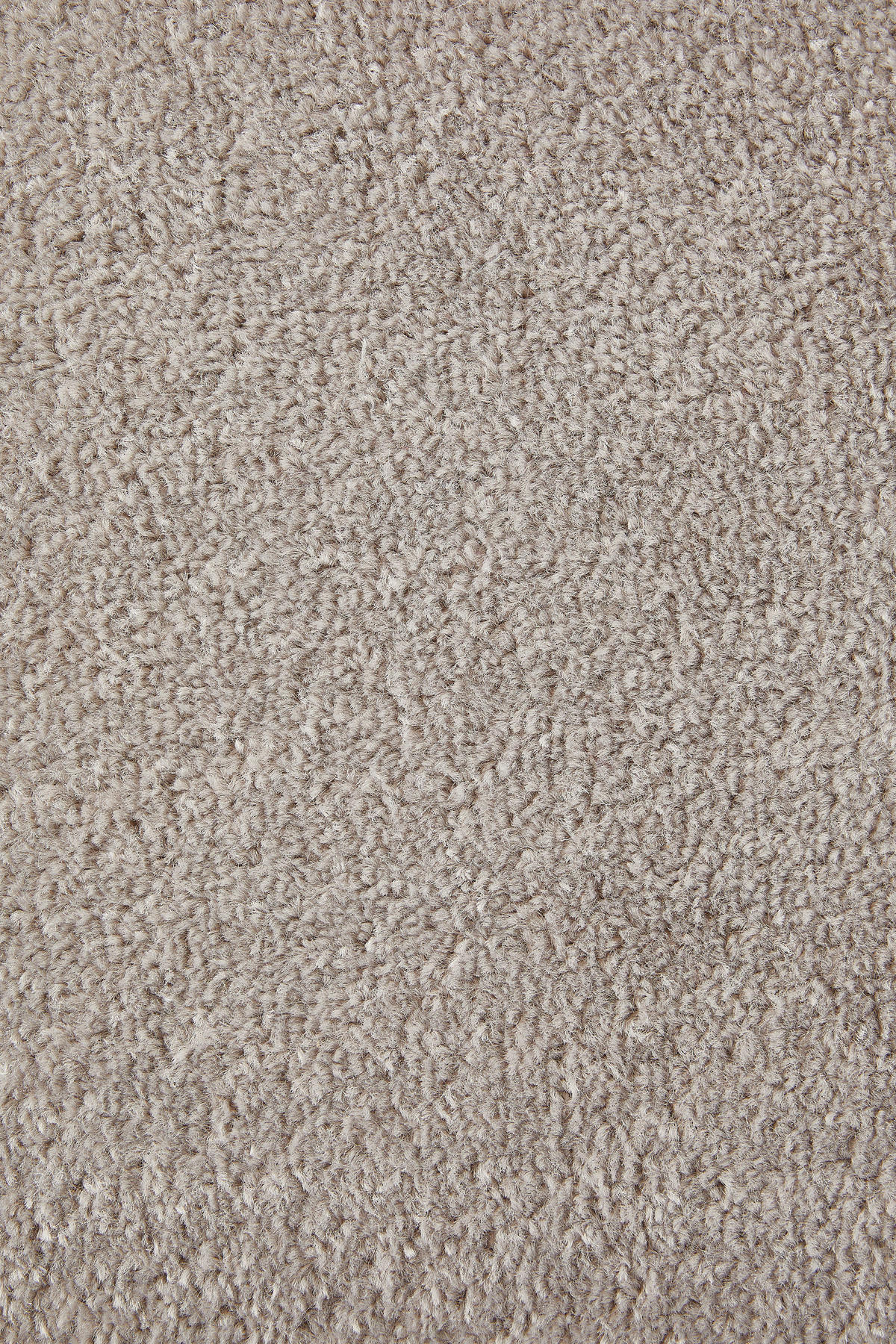 Teppichboden Sara grau B/L: ca. 200x400 cm pro Stück Sara - grau (200,00/400,00cm)