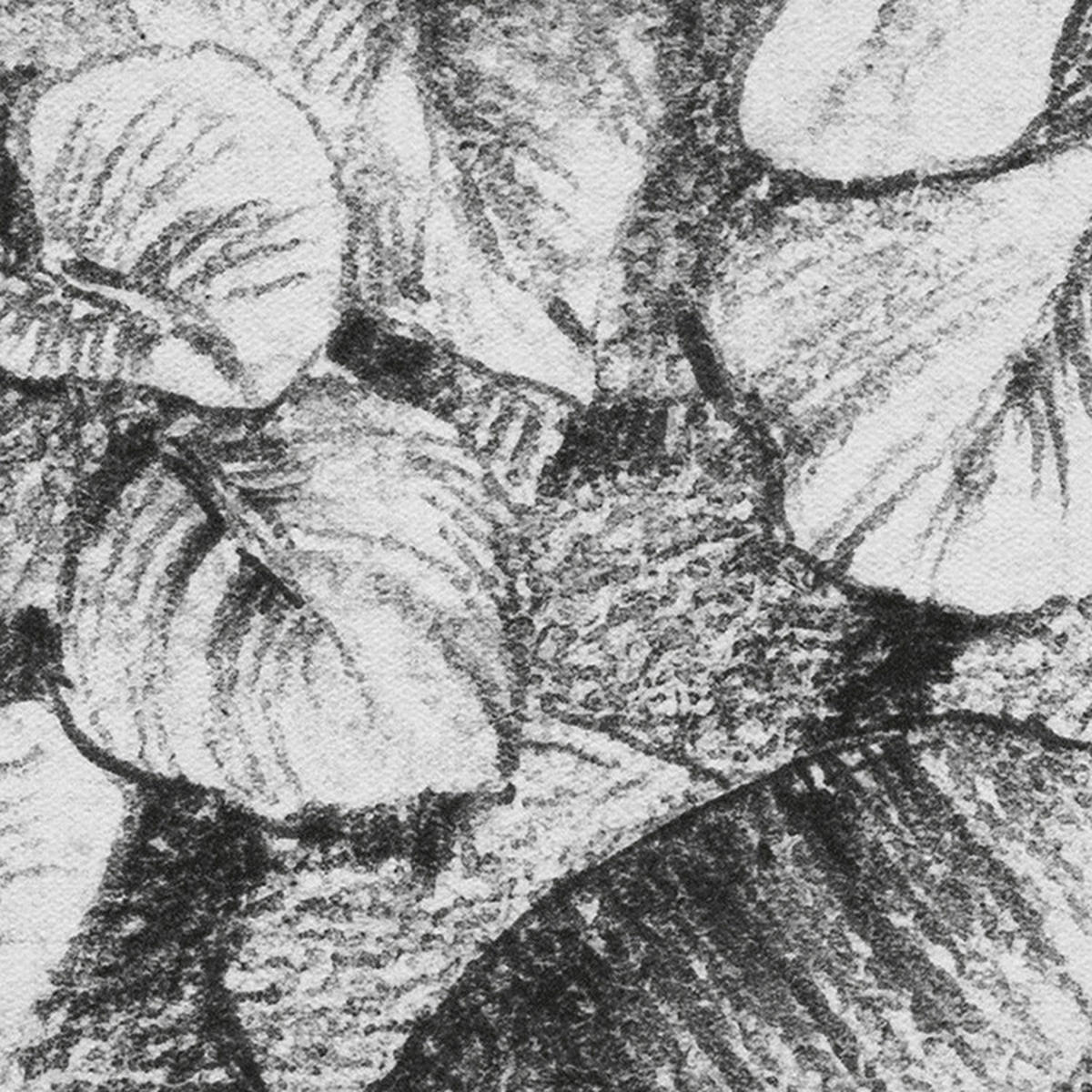 Komar Fototapete Léopards B/L: ca. 350x250 cm Léopards - (350,00/250,00cm) - Komar