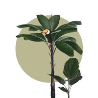 Komar Poster Botanical Garden Palmtree Palmen B/L: ca. 40x50 cm Botanical Garden Palmtree - (40,00/50,00cm) - Komar