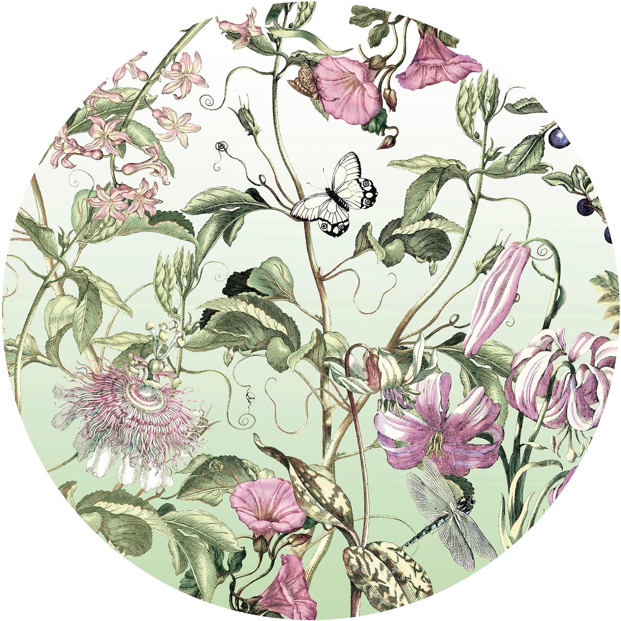 Komar Fototapete Louloudi D: ca. 125 cm Louloudi - (125,00cm) - Komar