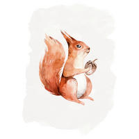 Komar Poster Hungry Squirrel Eichhörnchen B/L: ca. 40x50 cm Hungry Squirrel - (40,00/50,00cm) - Komar