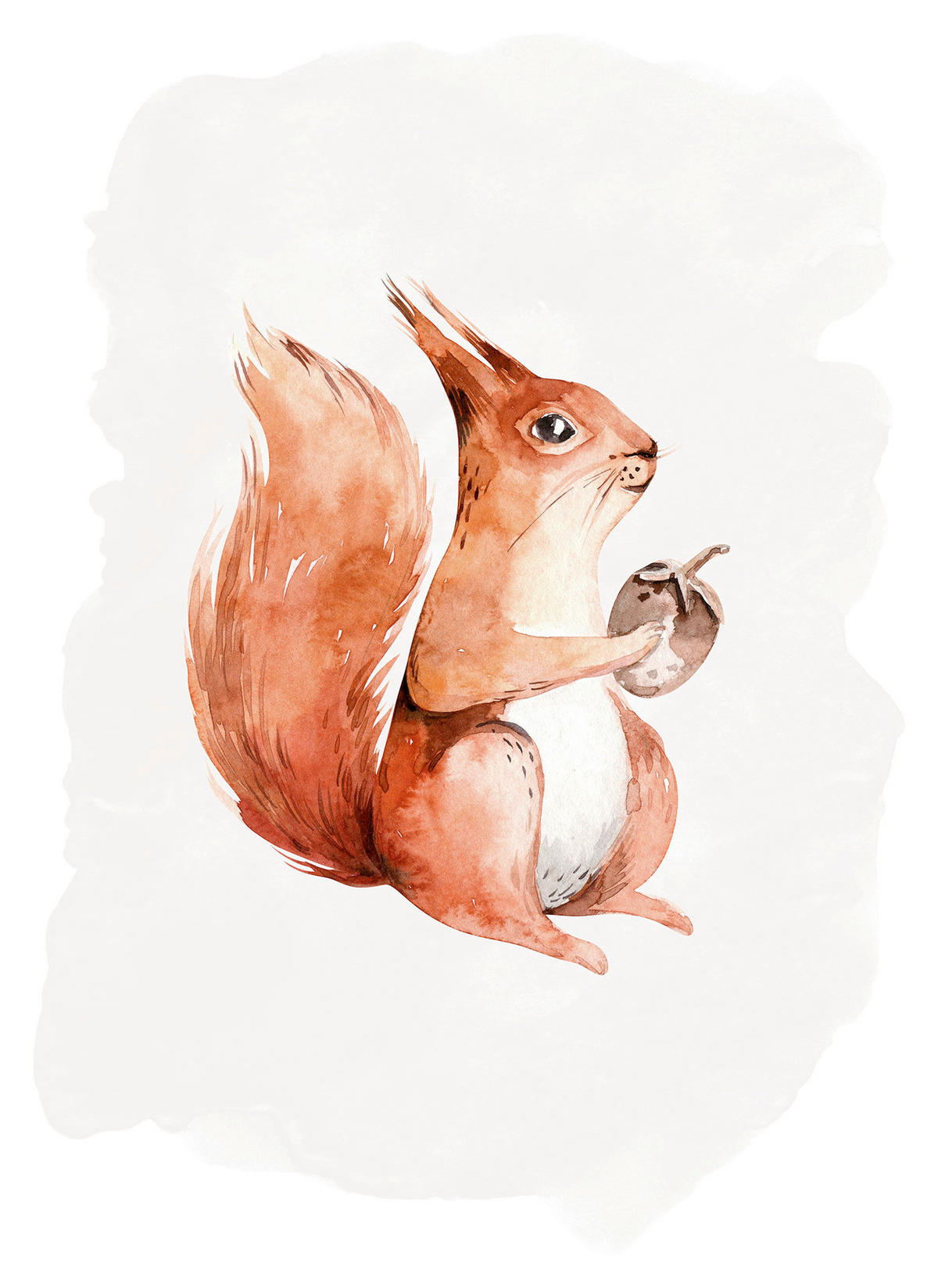 Komar Poster Hungry Squirrel Eichhörnchen B/L: ca. 40x50 cm Hungry Squirrel - (40,00/50,00cm) - Komar