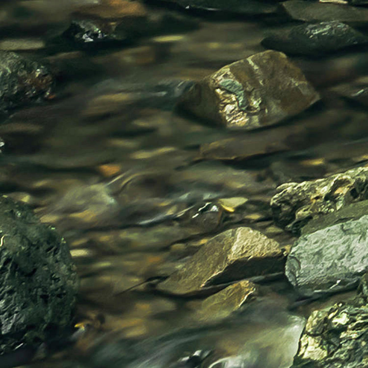 Komar Fototapete My Hidden Treasure B/L: ca. 400x250 cm My Hidden Treasure - (400,00/250,00cm) - Komar