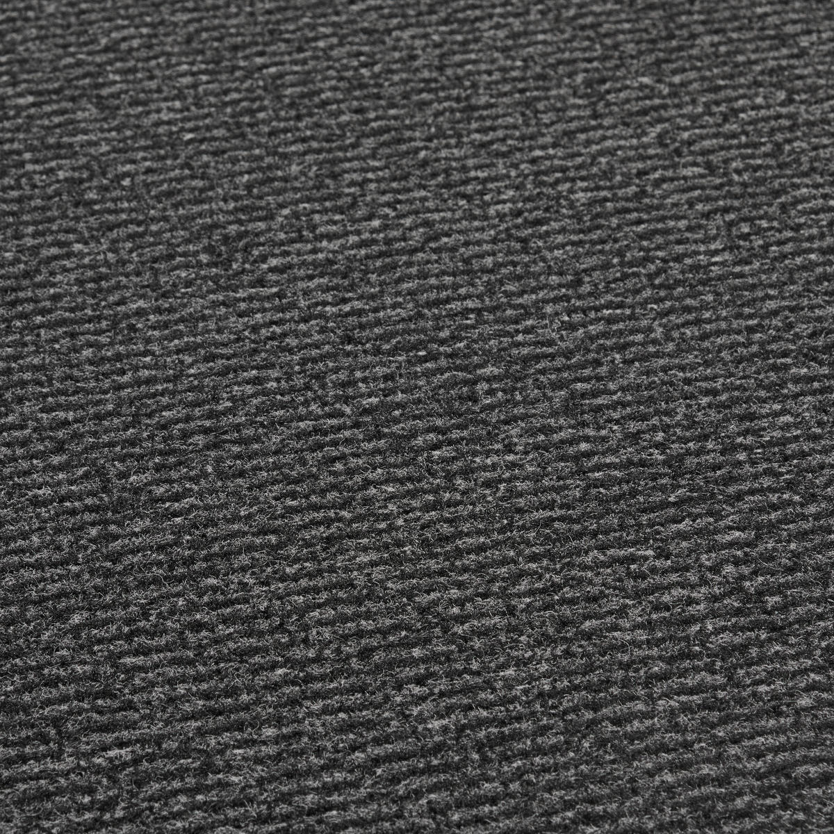 Schmutzfangmatte Spectrum anthrazit B/L: ca. 40x60 cm Spectrum - anthrazit (40,00/60,00cm)