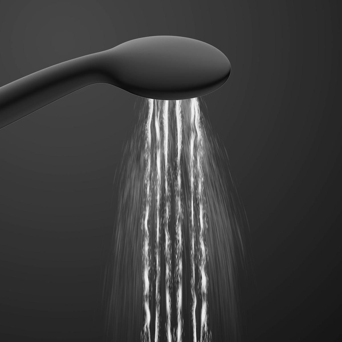 Handbrause schwarz Handbrauseset_Leon schwarz - schwarz/mattschwarz - EISL