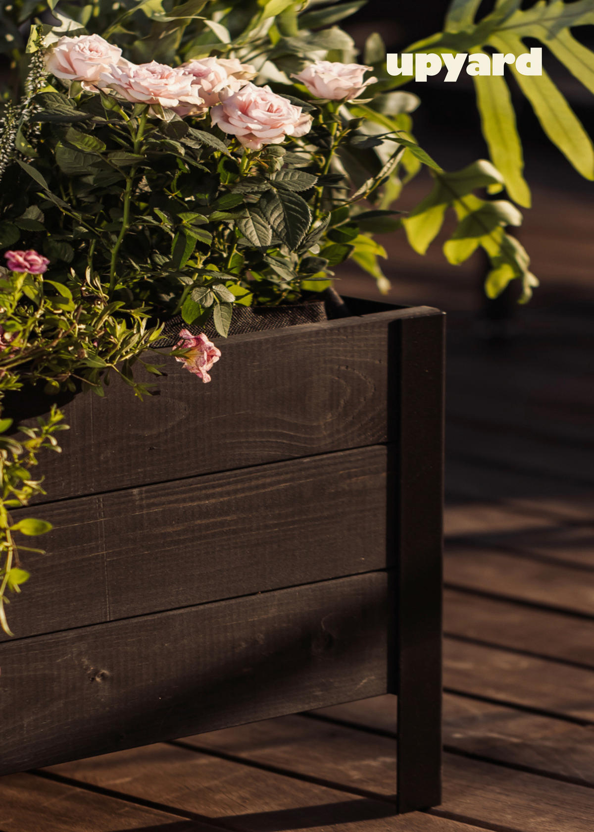 UPYARD Hochbeet MODERN schwarz Holz B/H/L: ca. 36x32x36 cm MODERN - schwarz (36,00/36,00/32,00cm) - UPYARD