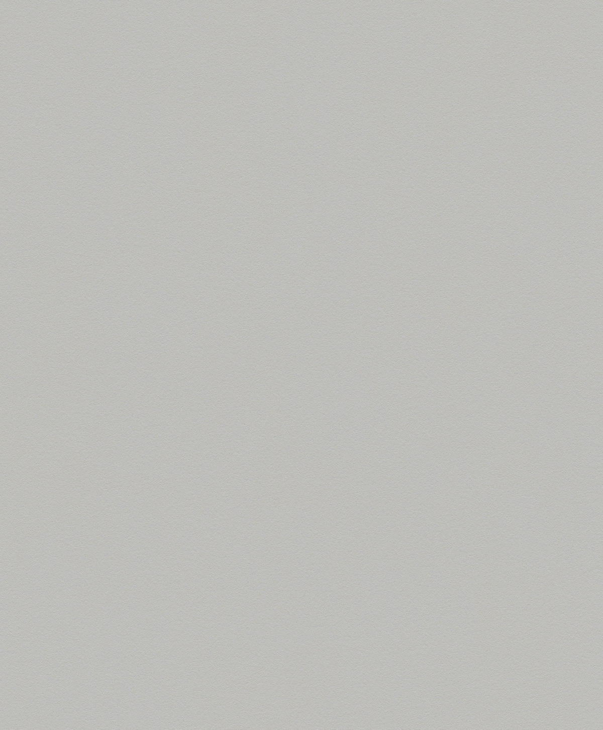 A.S.Creation Vliestapete Best of Vlies Uni grau B/L: ca. 53x1005 cm Best of Vlies - grau (53,00/1005,00cm) - A.S.Creation