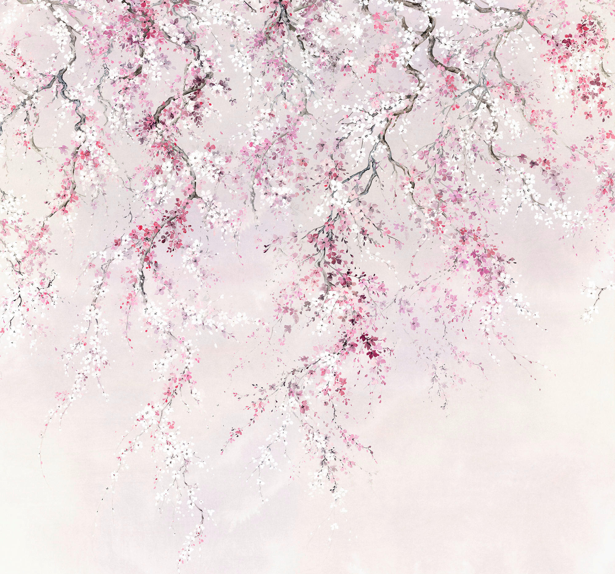 Komar Fototapete Kirschblüten B/L: ca. 300x280 cm Kirschblüten - (300,00/280,00cm) - Komar