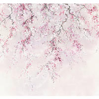 Komar Fototapete Kirschblüten B/L: ca. 300x280 cm Kirschblüten - (300,00/280,00cm) - Komar
