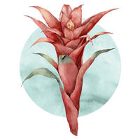 Komar Poster Funky Flower Blume B/L: ca. 30x40 cm Funky Flower - (30,00/40,00cm) - Komar
