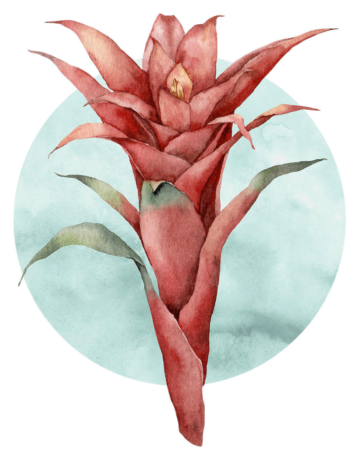Komar Poster Funky Flower Blume B/L: ca. 30x40 cm Funky Flower - (30,00/40,00cm) - Komar