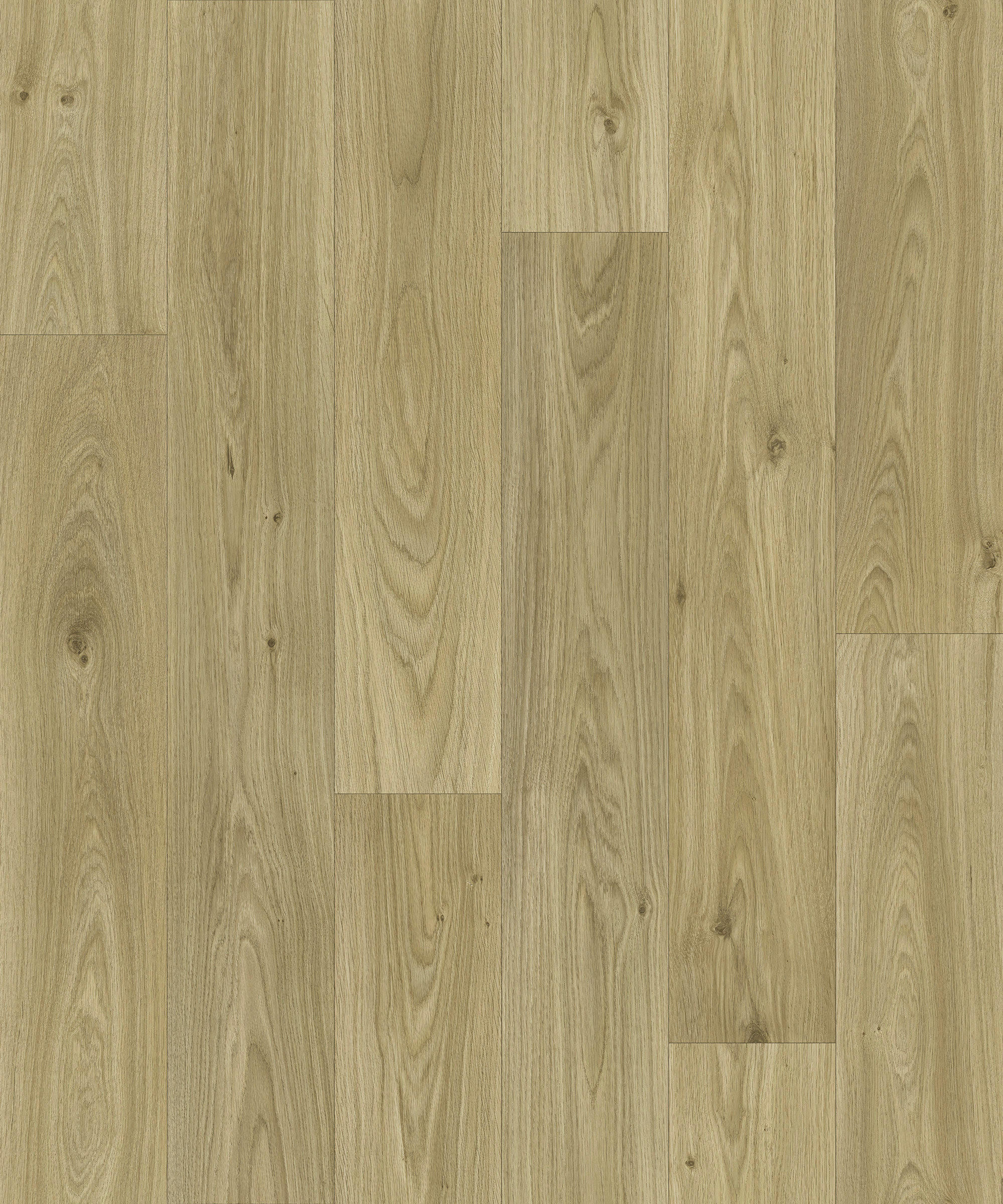 Vinylboden Quintex natur Eiche B: ca. 500 cm pro m² Quintex - natur (500,00cm)