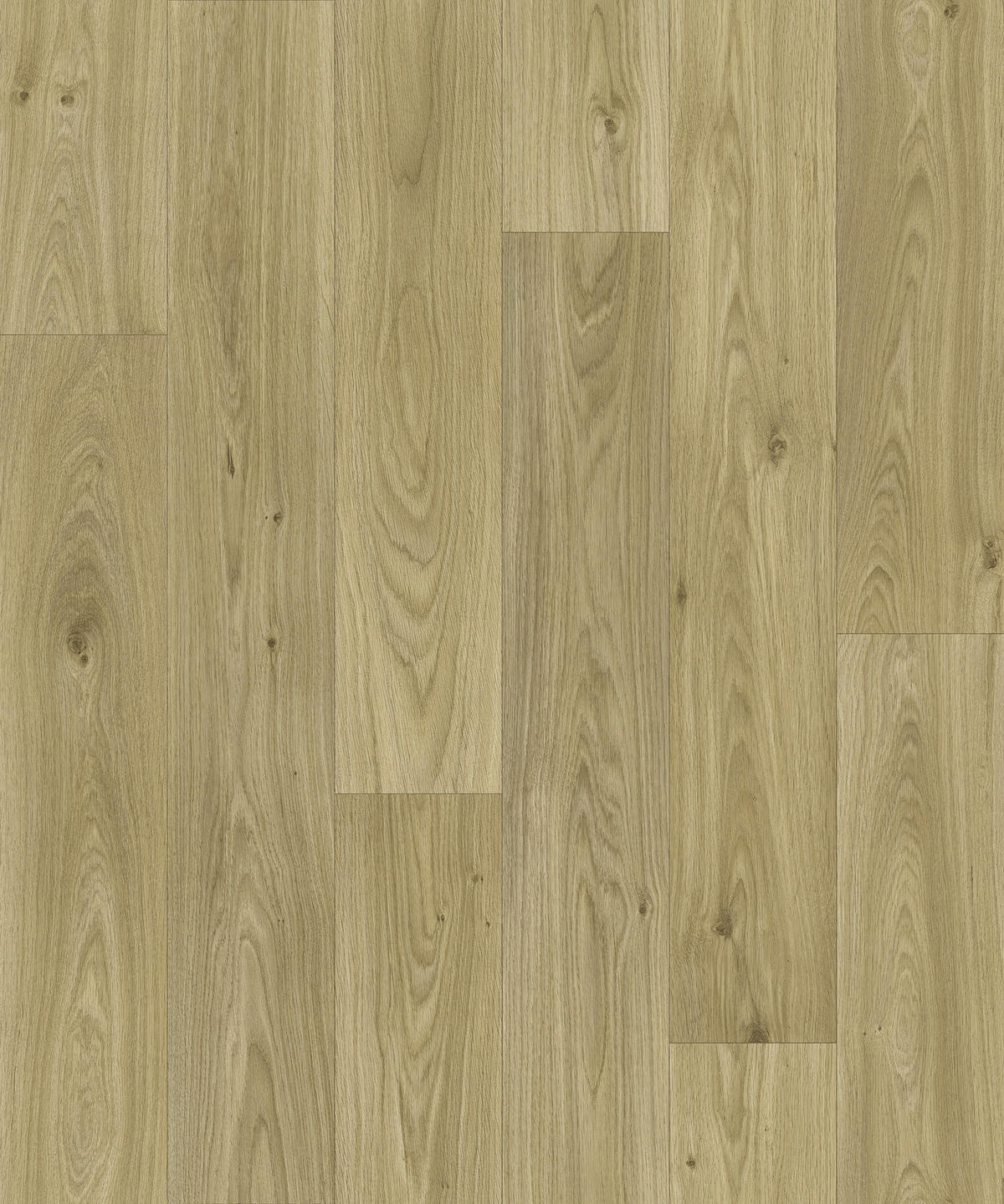 Vinylboden Quintex natur Eiche B: ca. 500 cm pro m² Quintex - natur (500,00cm)