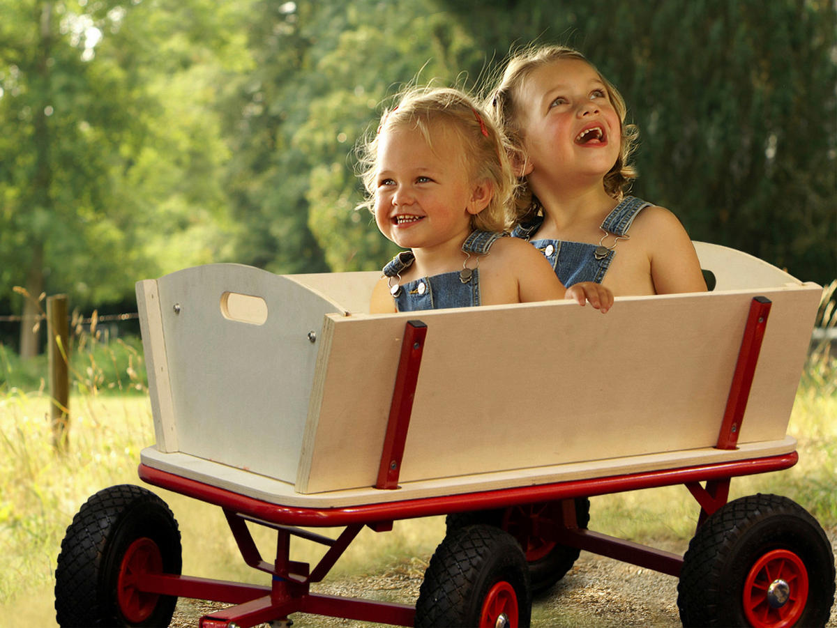 Sunny Bollerwagen Billy Beach rot B/H/L: ca. 61x97x95 cm Billy Beach - natur/rot (95,00/61,00/97,00cm) - Sunny