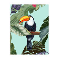 Komar Poster Toco Toucan Toco Toucan - Komar