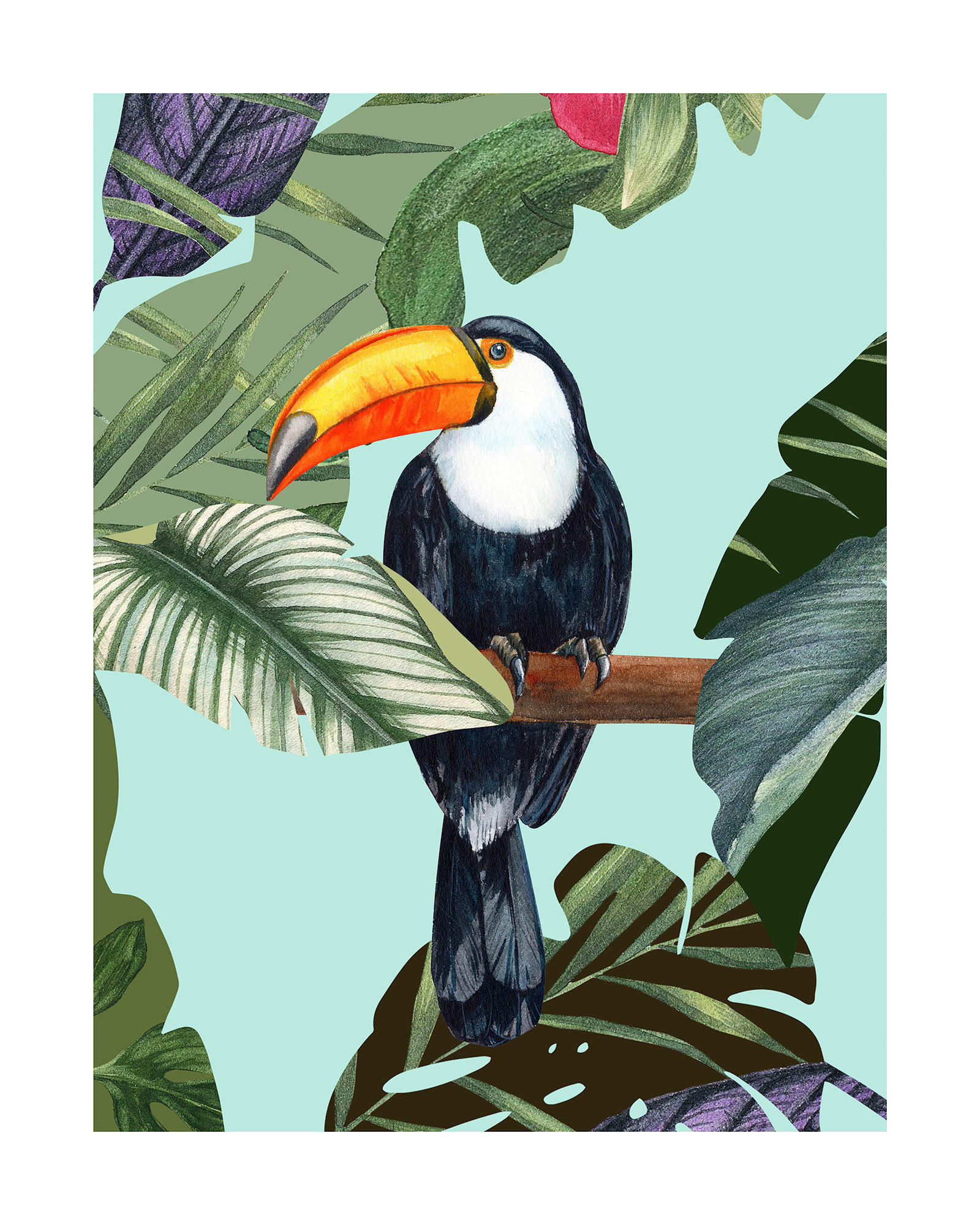 Komar Poster Toco Toucan günstig online kaufen