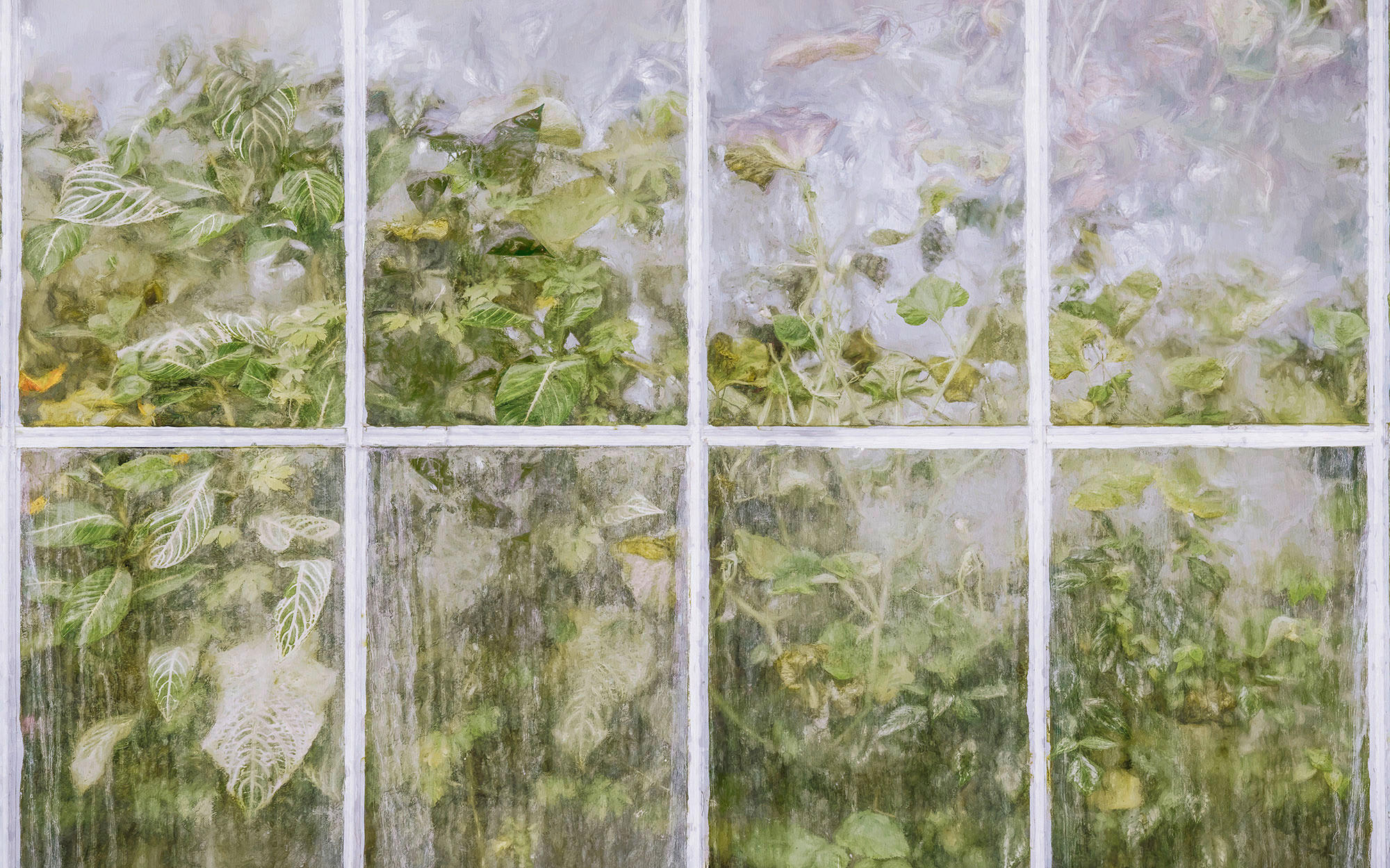 Komar Fototapete Secret Stash B/L: ca. 400x250 cm Secret Stash - (400,00/250,00cm) - Komar