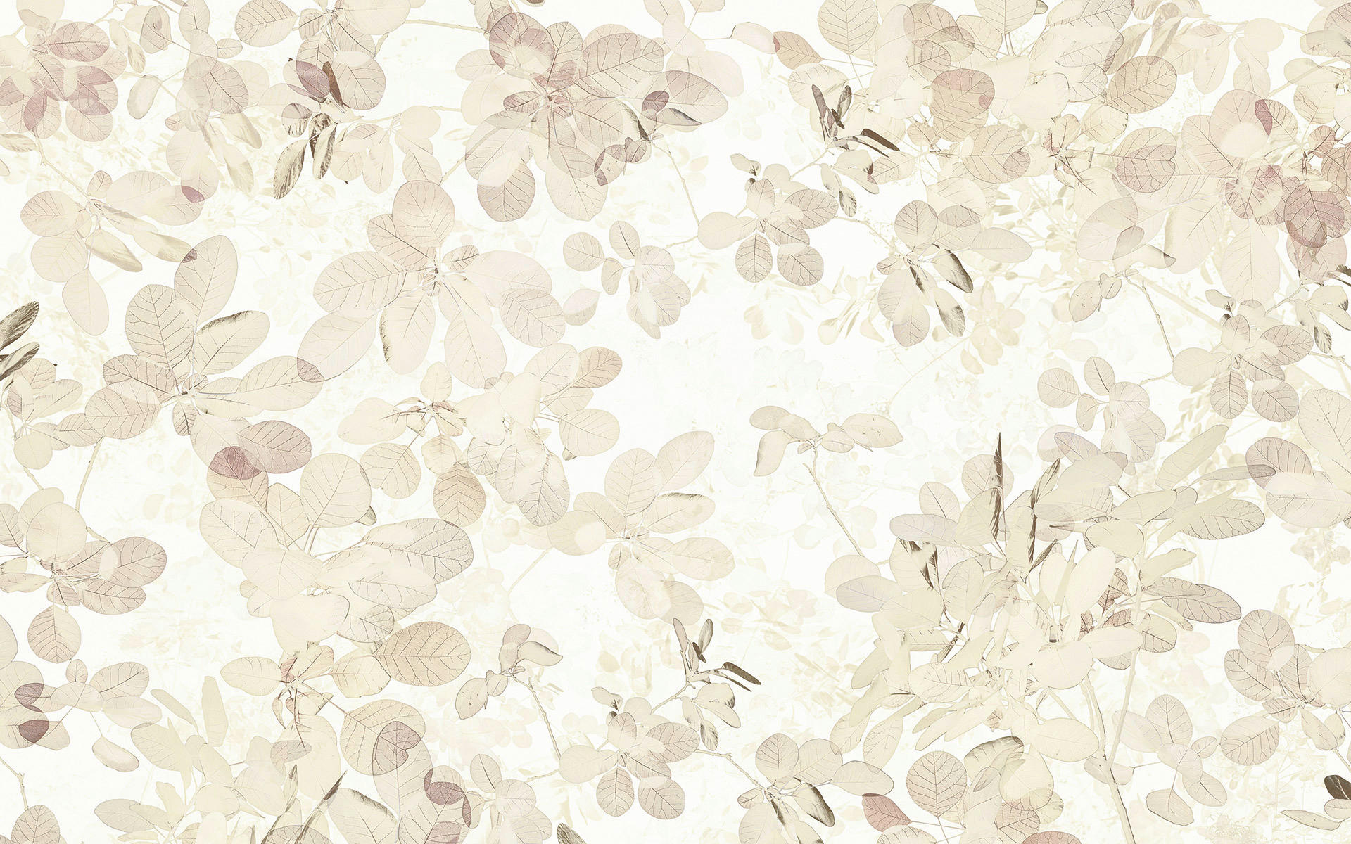 Komar Fototapete Sheer B/L: ca. 400x250 cm Sheer - (400,00/250,00cm) - Komar