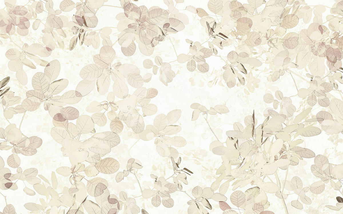 Komar Fototapete Sheer B/L: ca. 400x250 cm Sheer - (400,00/250,00cm) - Komar