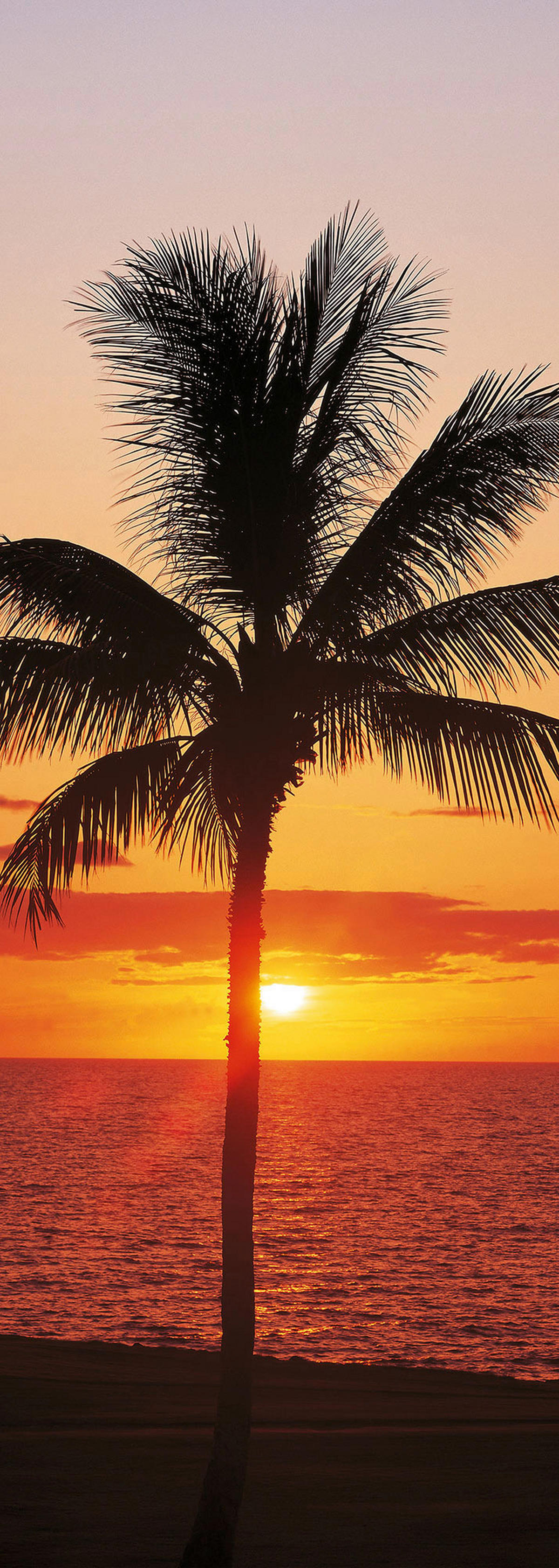 Komar Fototapete Hawaii B/L: ca. 100x280 cm Hawaii - (100,00/280,00cm) - Komar