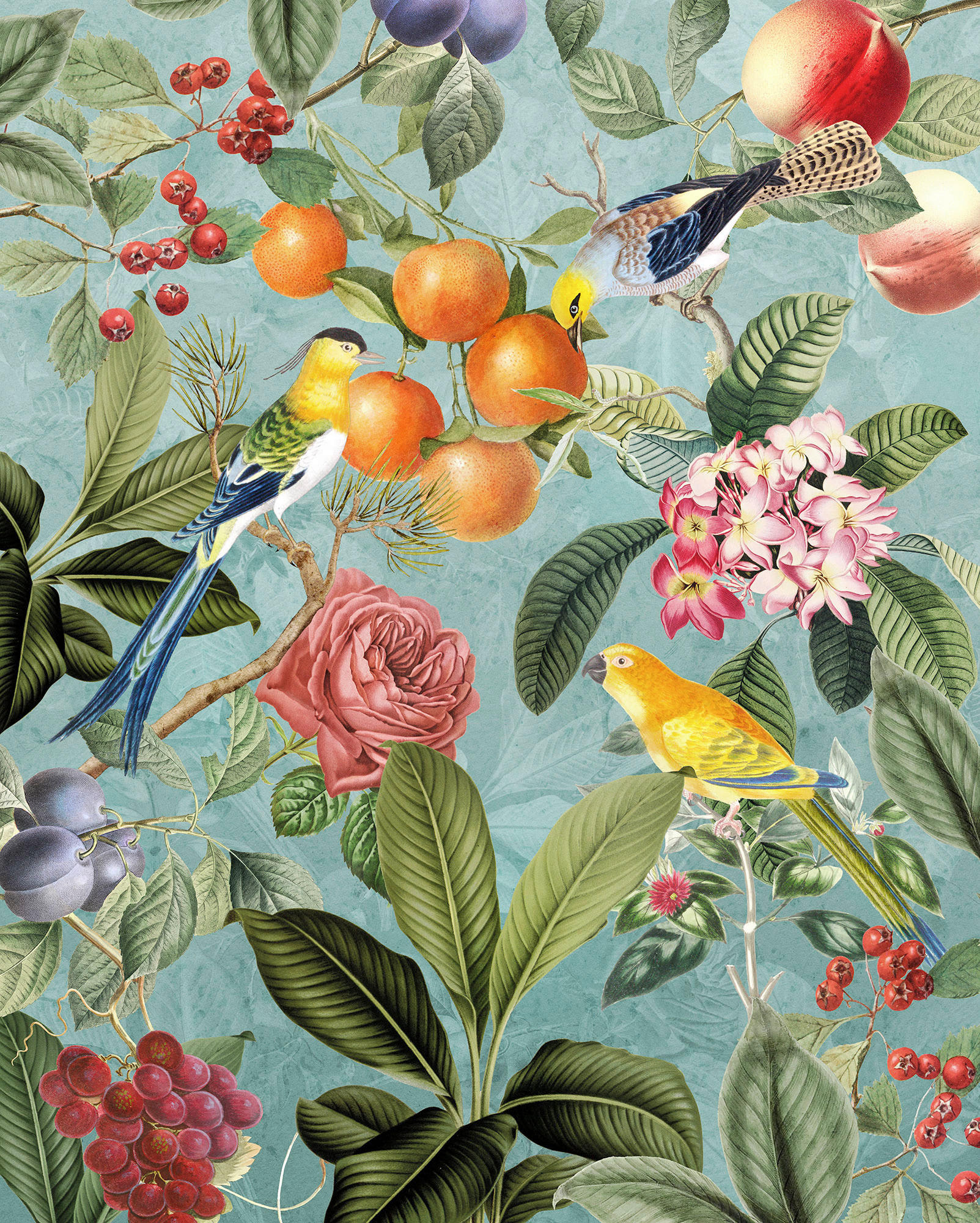 Komar Fototapete Birds and Berries B/L: ca. 200x250 cm Birds and Berries - (200,00/250,00cm) - Komar