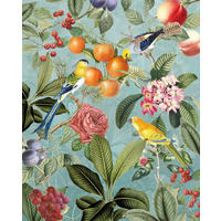 Komar Fototapete Birds and Berries B/L: ca. 200x250 cm Birds and Berries - (200,00/250,00cm) - Komar