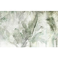 Komar Fototapete Botanical Boho B/L: ca. 400x250 cm Botanical Boho - (400,00/250,00cm) - Komar
