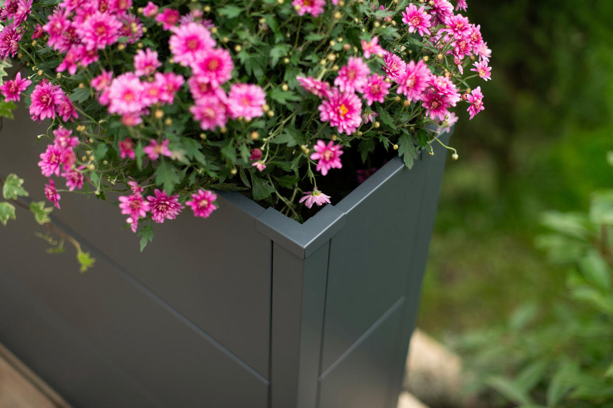 Westmann Pflanzkasten Talus anthrazit Metall B/H/T: ca. 100x77x25 cm Talus - anthrazit (100,00/77,00/25,00cm) - Westmann