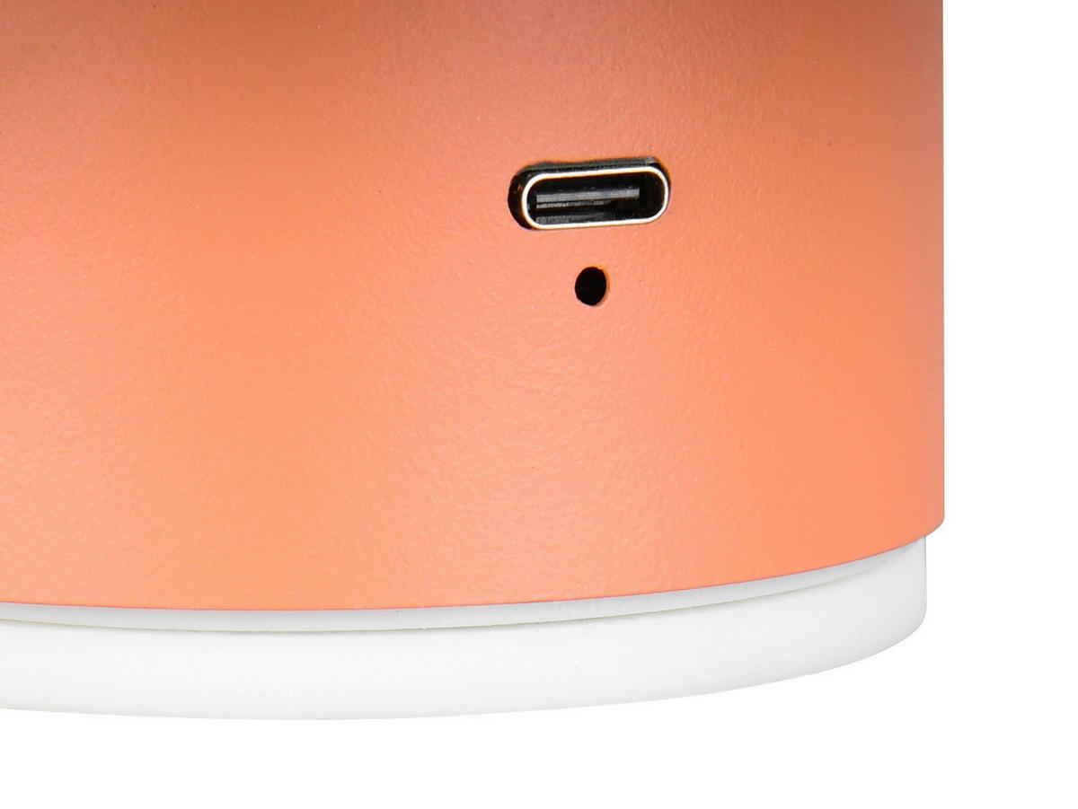 Reality LED Wandleuchte DAVEY apricot Metall 1 Brennstellen Davey - apricot - Reality