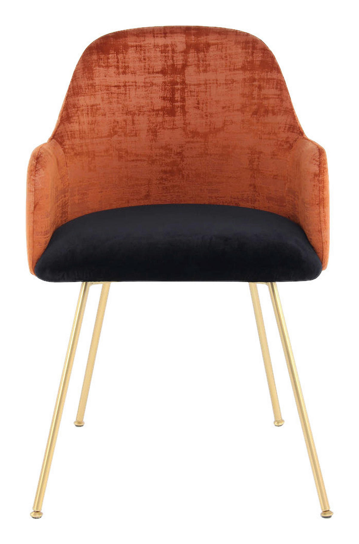 Stuhl Richard 500 terra schwarz Microfaser B/H/T: ca. 53x85x50 cm Richard 500 - gold/terra (53,00/85,00/50,00cm) - 360 Living