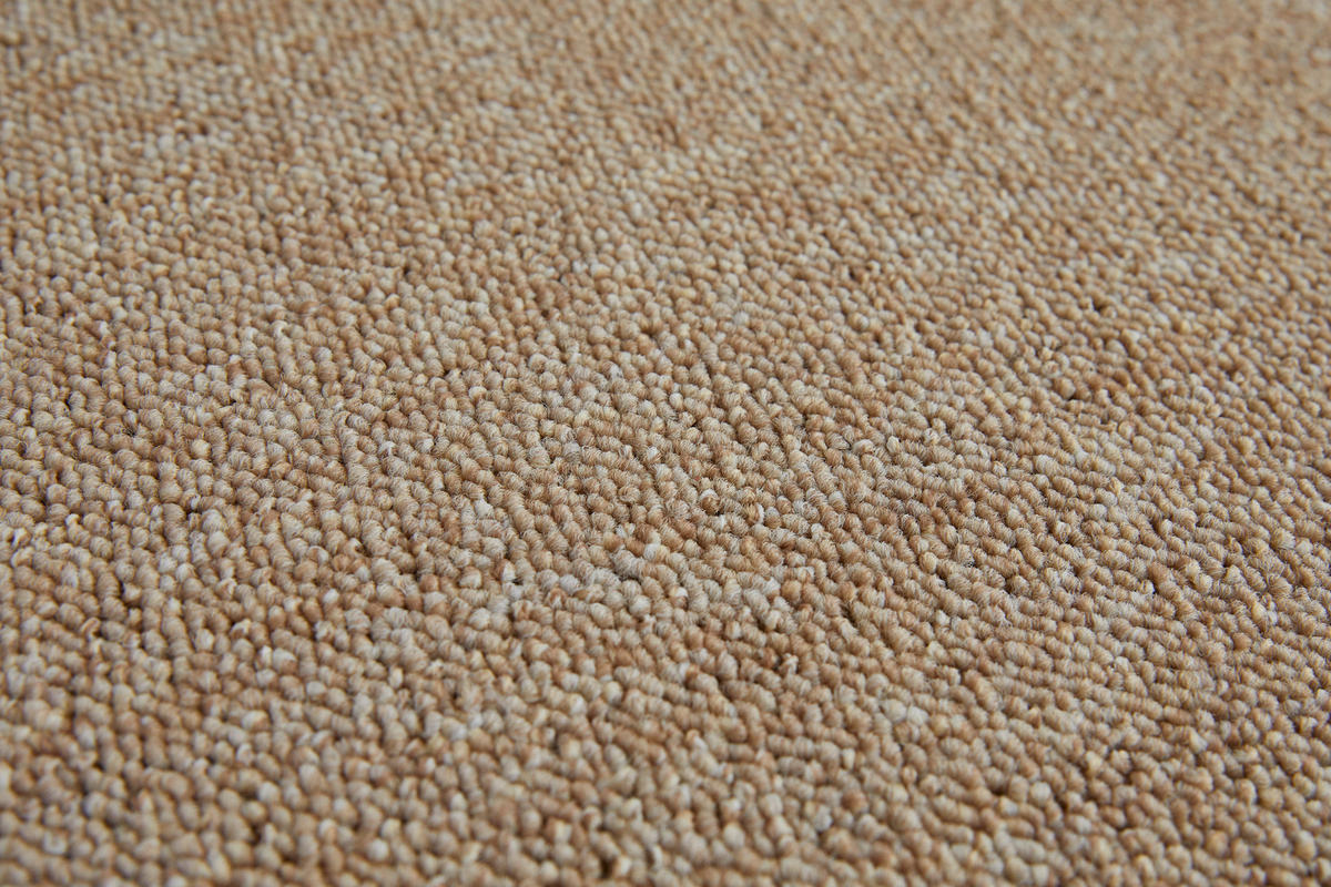 Teppichboden Rico beige B/L: ca. 200x500 cm pro Stück Rico - beige (200,00/500,00cm)
