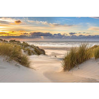 Keilrahmenbild Keilrahmenbild 78x118cm - (118,00/78,00cm)