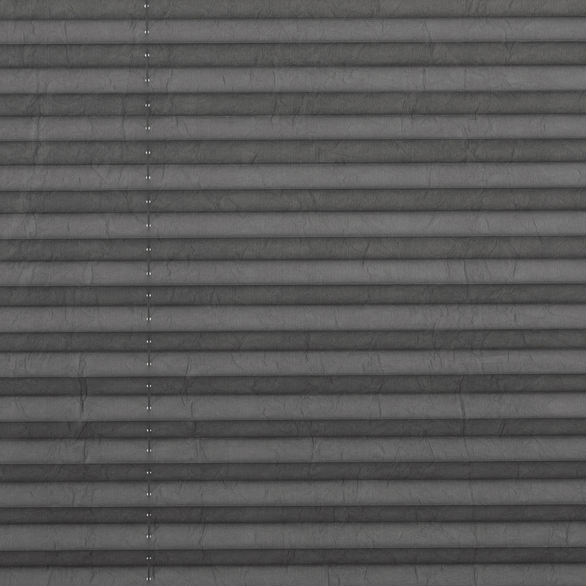 LICHTBLICK Spannplissee hellgrau B/L: ca. 80x130 cm Plissee_Klemmfix - hellgrau (80,00/130,00cm) - LICHTBLICK