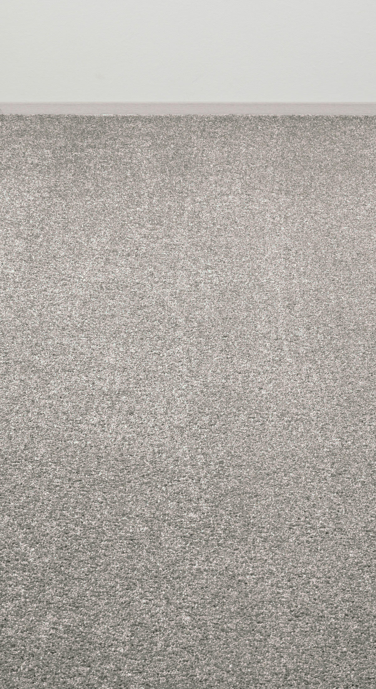 Teppichboden Crown grau B: ca. 400 cm pro m² Crown - grau (400,00cm)