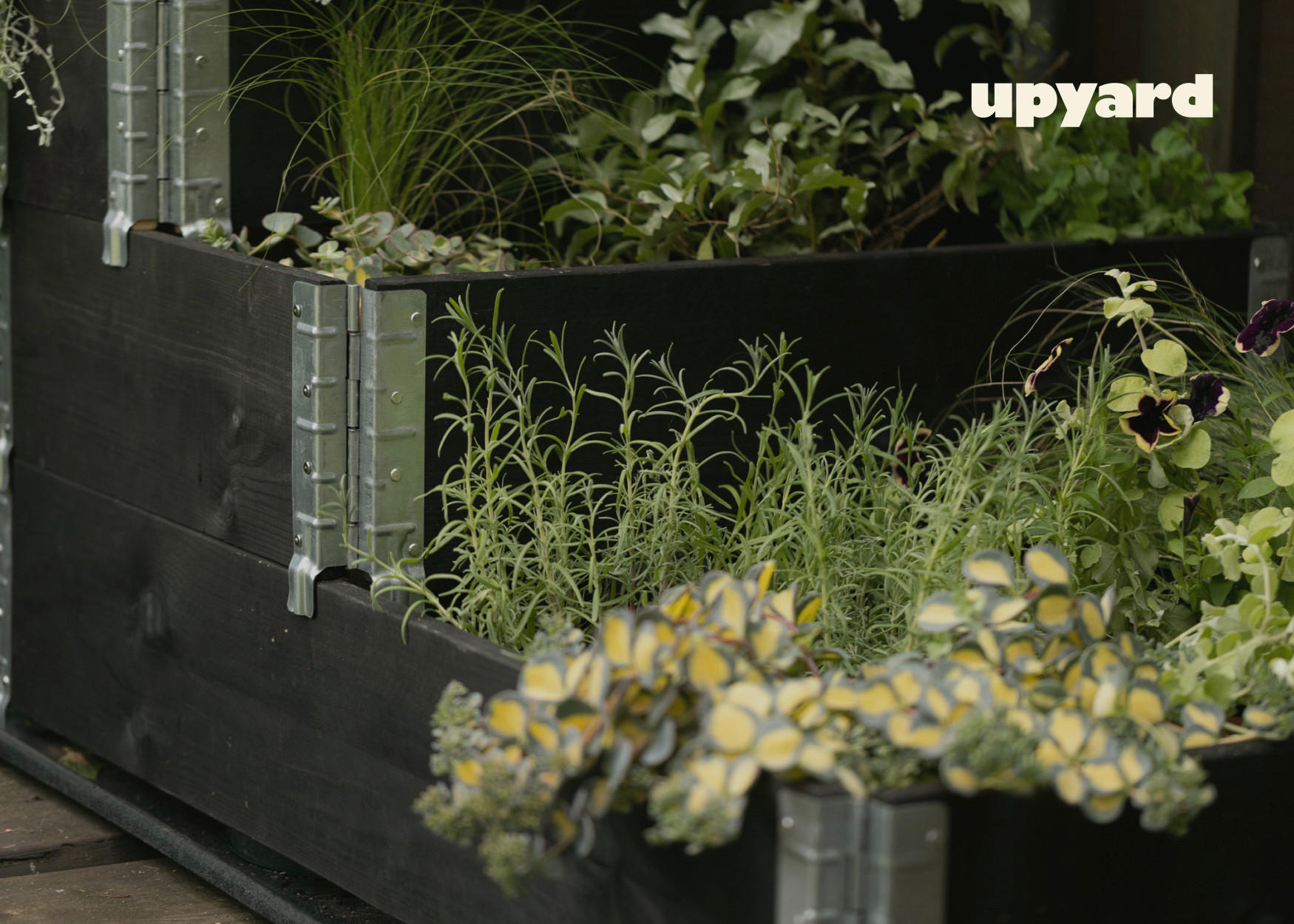 Thumbnail - UPYARD Stufenbeet INDUSTRIAL schwarz Holz B/L: ca. 30x80 cm