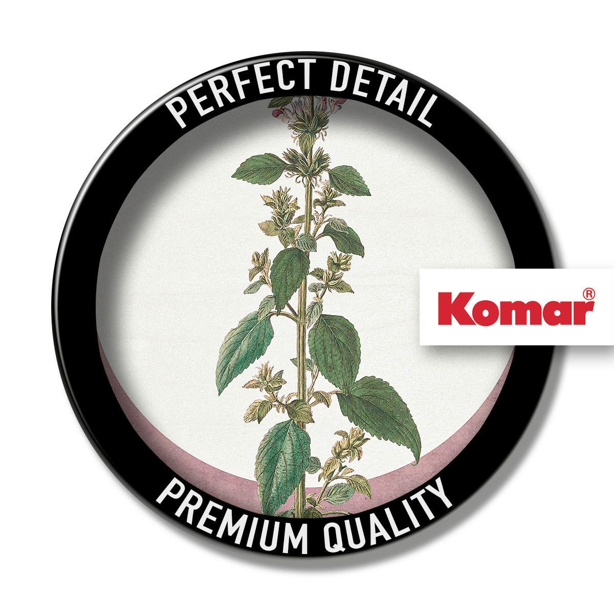 Komar Poster Menthe en Croissance Pflanzen B/L: ca. 50x70 cm Menthe en Croissance - (50,00/70,00cm) - Komar