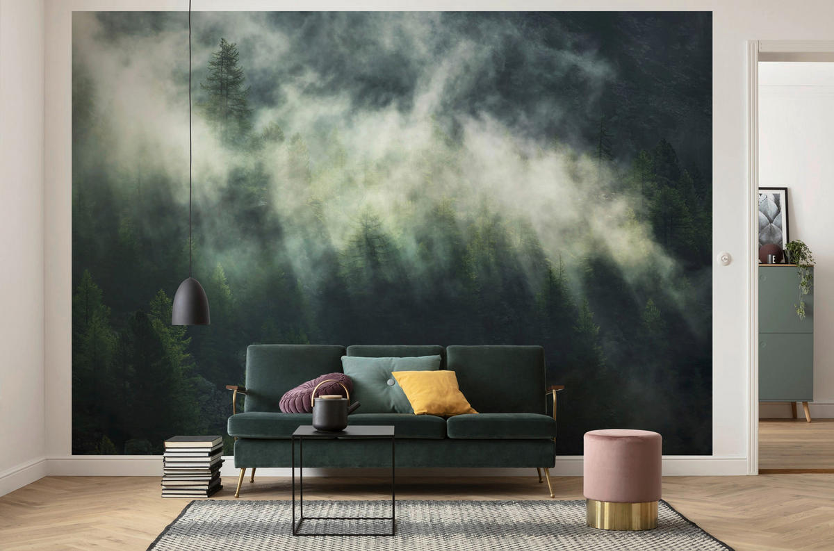Komar Fototapete Misty Crowns Wald B/L: ca. 350x250 cm Misty Crowns - (350,00/250,00cm) - Komar