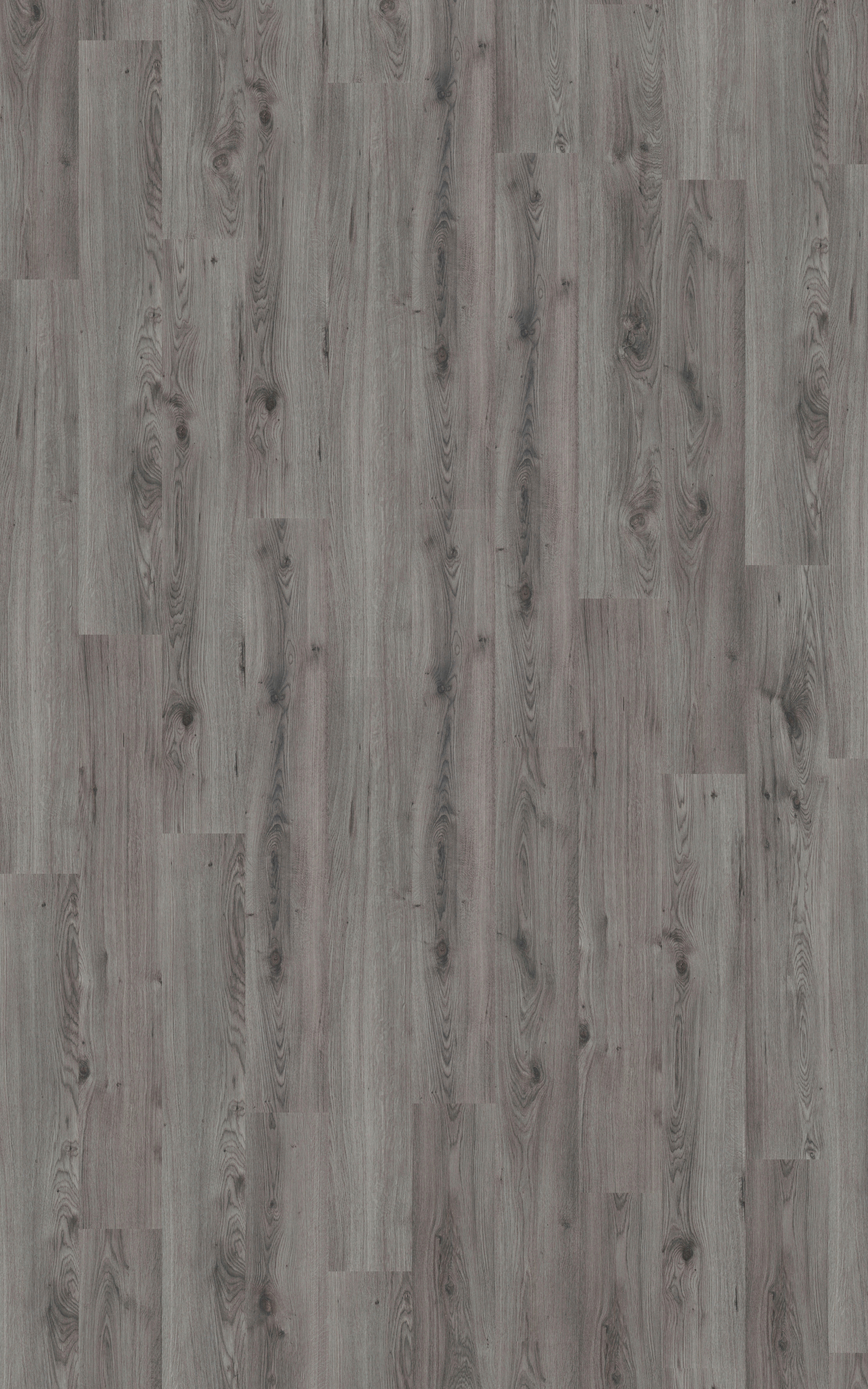 Laminatboden Millenium ca. 2,39 m² im Paket  B/L: ca. 19,3x137,6 cm pro Paket Millenium ca. 2,39 m² im Paket - grau (19,30/137,60cm)
