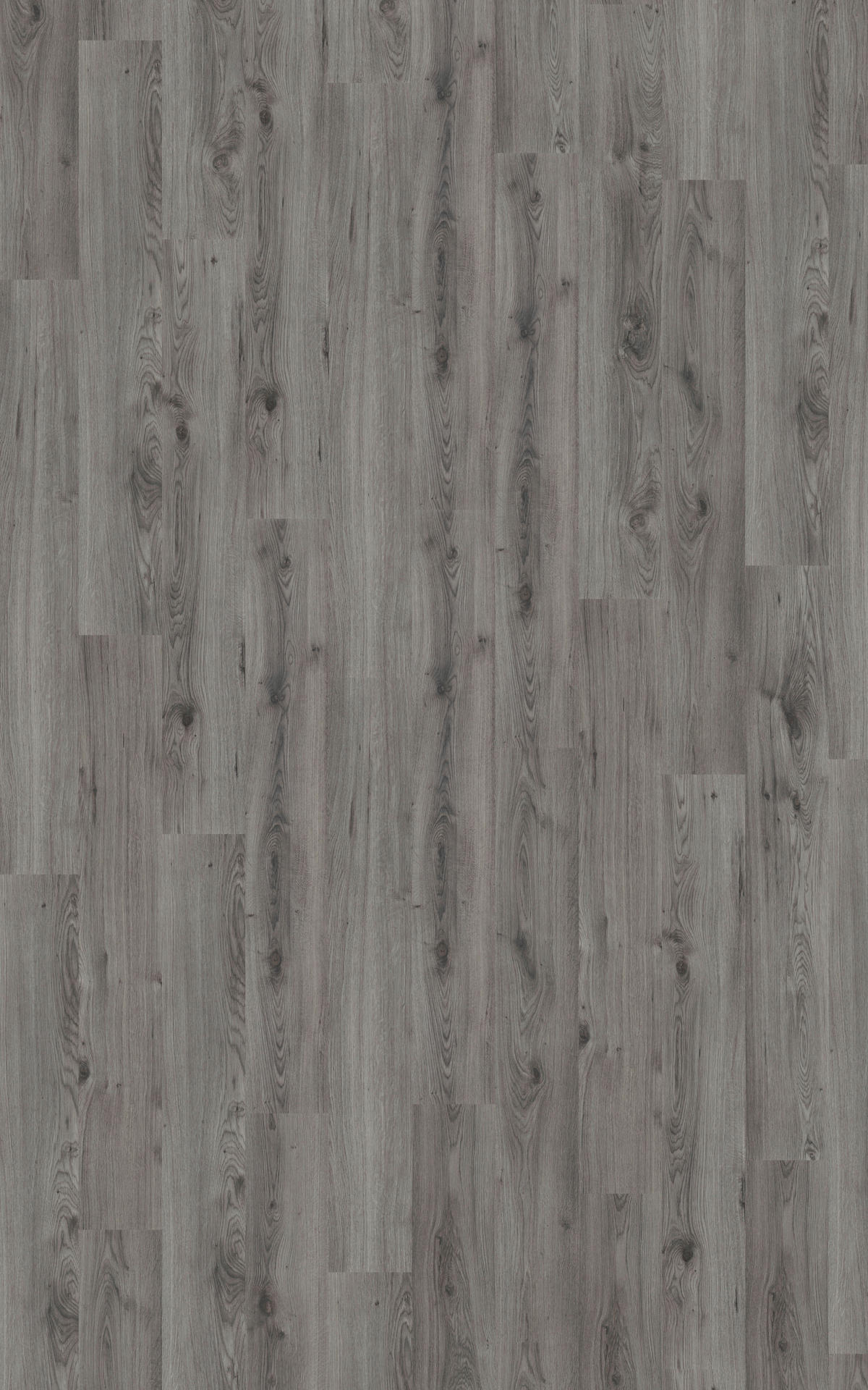 Laminatboden Millenium ca. 2,39 m² im Paket  B/L: ca. 19,3x137,6 cm pro Paket Millenium ca. 2,39 m² im Paket - grau (19,30/137,60cm)