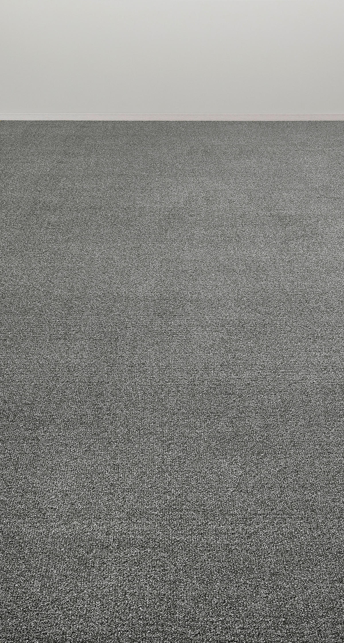 Teppichboden Java dunkelgrau B: ca. 400 cm pro m² Java - dunkelgrau (400,00cm)