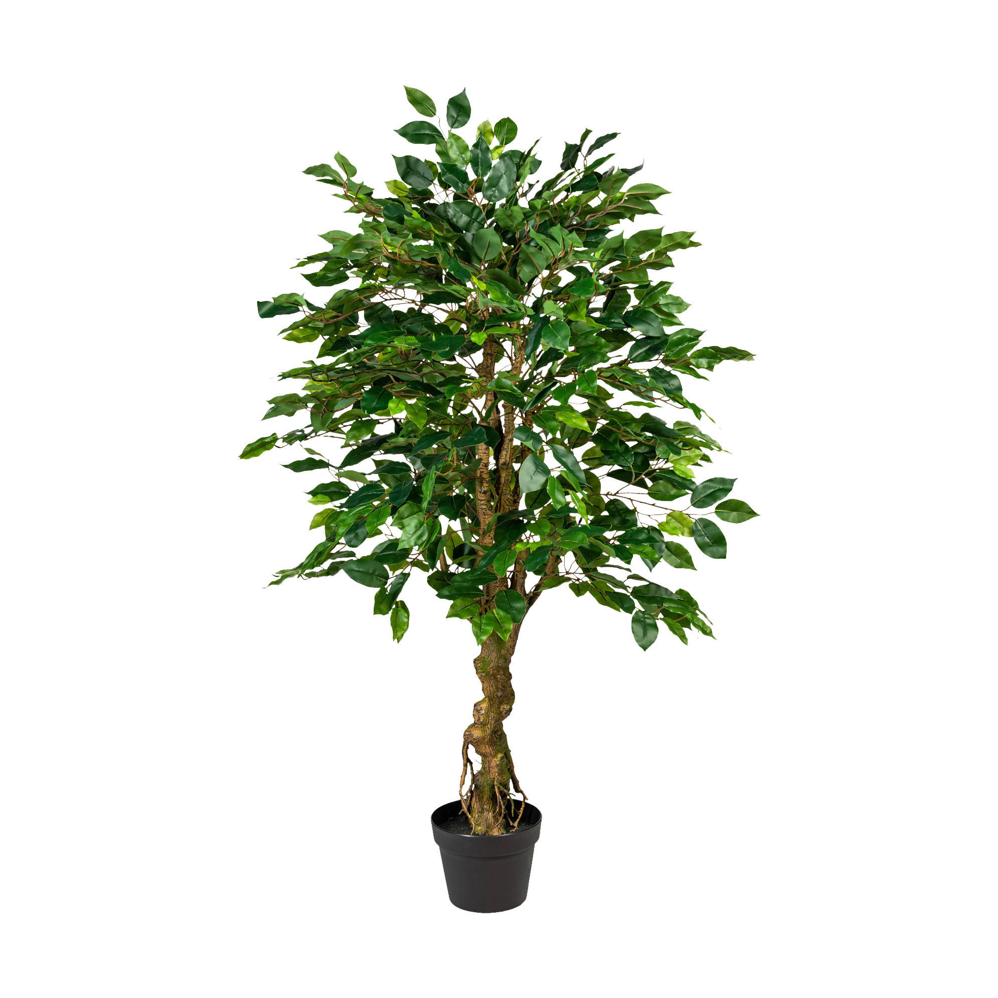Kunstpflanze Ficus Benjamini grün Kunststoff B/H/L: ca. 20x120x20 cm Ficus Benjamini - grün (20,00/20,00/120,00cm)